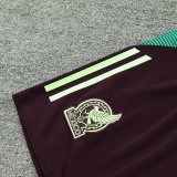 24/25  Mexico Green Training Short Suit