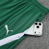 26/27 Cote d'Ivoire Green Training Shorts Suit