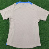 24/25 Argentina khaki  Special Edition  Player Version Soccer Jersey