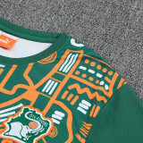 26/27 Cote d'Ivoire Green Training Shorts Suit