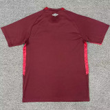 25/26 Lanus Home Fans Soccer Jersey