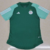 23/24 Algeria Green Special Edition Player Version Soccer Jersey (没图案)