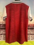 25/26  FSV Concept Edition Red Fans Soccer Jersey