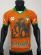 25/26 Cote d'Ivoire Orange Special Edition Player Version Soccer Jersey
