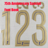 25/26 Lyon 75 th Anniversary Edition White  Player Version Soccer Jersey