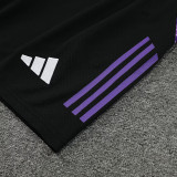 24/25 Germany Purple Training Short Suit
