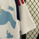24/25 Costa Rica Away Fans Soccer Jersey