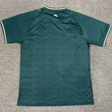 24/25  Werder Bremen Commemorative Edition Fans Soccer Jersey