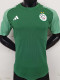 23/24 Algeria Green Special Edition Player Version Soccer Jersey (没图案)