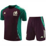24/25  Mexico maroon Training Short Suit