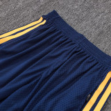 25/26 AD Royal Blue Player Version Training Short Suit#D2505