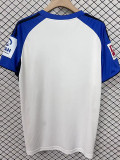 25/26 Hamburger Home Fans Soccer Jersey