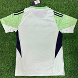 25/26 Benfica Goalkeeper  Green Fans Soccer Jersey