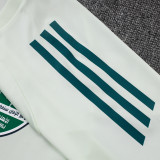 25/26 Al Ahli Light Green Training Short Suit#D25265