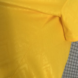 24/25  Panama Yellow Fans Soccer Jersey（圆领）