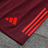 24/25 Bayern Deep Red Training Short Suit
