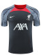 24/25  LIV Dark Grey Training Shirts