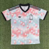 25/26 Belgium Away Fans Soccer Jersey