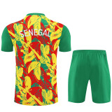 26/27 Seneg Green Training Shorts Suit