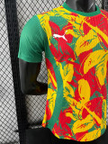 24/25 Senegal Green Puzzle Player Version Training Shirts