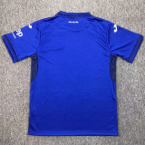 24/25 Hoffenheim Home Fans Soccer Jersey