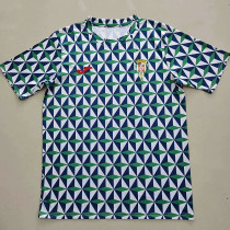 24/25 Córdoba Special Edition Fans Soccer Jersey(科尔多瓦)