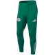 25/26 Algeria  Green Training Long Pants (Have Pocket) #C2509