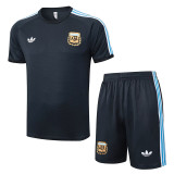 25/26  Argentina Grey Training Short Suit#D2559