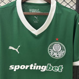 25/26  Palmeiras Home Fans Soccer Jersey