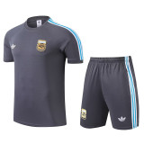 23/24  Argentina Grey Training Short Suit