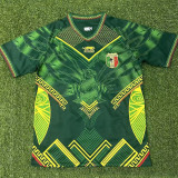 25/26 Mali Home Fans Soccer Jersey