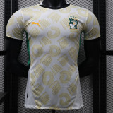 24/25 Cote d'Ivoire Away Player Version Soccer Jersey