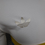 24/25 Colombia Anniversary Edition  Long Sleeve Player Version Soccer Jersey