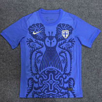 25/26  Finland  Away  Fans Soccer Jersey