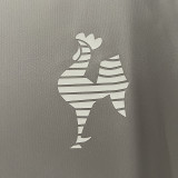 24/25 Atletico Mineiro Grey Training shirts
