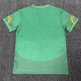 25/26 Mali Green Fans Soccer Jersey