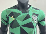 24/25 AEK FC Green  Fans Soccer Jersey