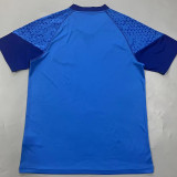 24/25 Palmeiras Blue Mesh Pattern Training shirts