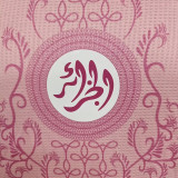 24/25 Algeria Light Pink Special Edition  Player Version Soccer JerseyA36