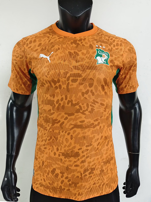 26/27 Cote d'Ivoire Home Player Version Soccer Jersey