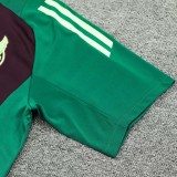 24/25  Mexico maroon Training Short Suit