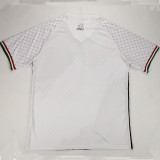 24/25 Palestine White Pattern version Fans Soccer Jersey