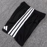 25/26 AD White Player Version Training Short Suit#D2506