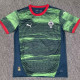 25/26  Portugal Dark Green  Training shirts