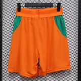 26/27 Cote d'Ivoire Yellow Player Version Shorts Pants