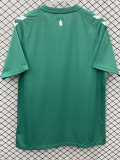 24/25 EVE Green Limited Edition Fans Soccer Jersey