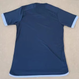 24/25 Cruzeiro Third Fans Soccer Jersey