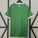 24/25 Celtic Green Special Edition Fans Soccer Jersey