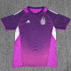 25/26  Argentina Goalkeeper Purple Fans Soccer Jersey