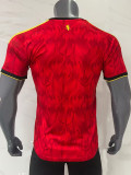 25/26 Belgium Home Fans Soccer Jersey